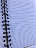 Secret Diary Notebook A5